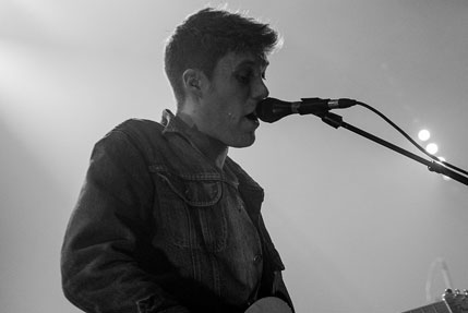 the wombats